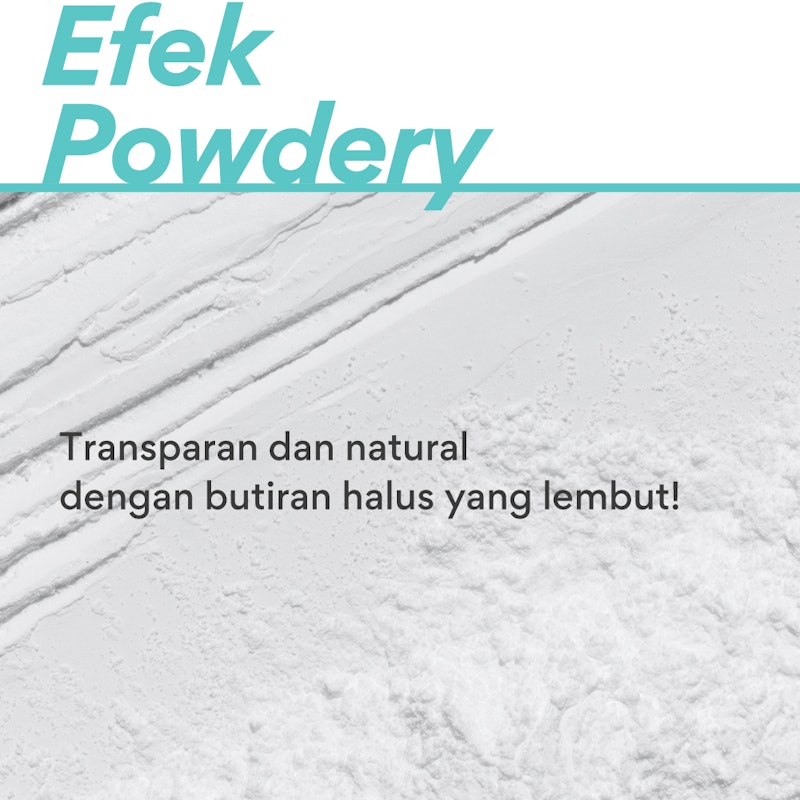 No-Sebum Mineral Powder 3