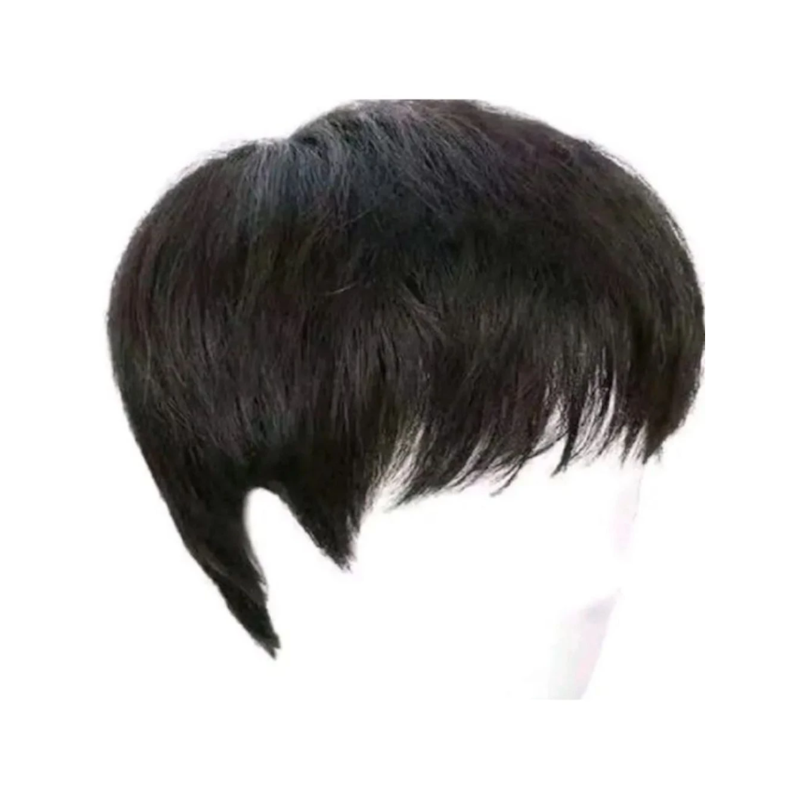 Men Wig 100% Human Hair 1