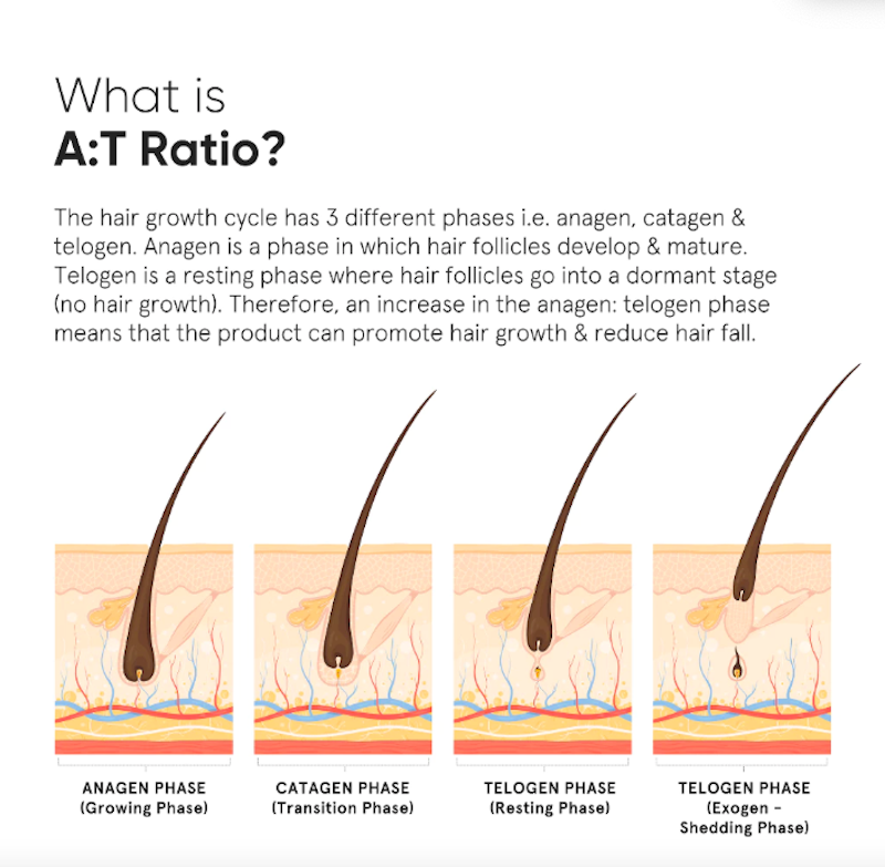 Minimalist 18% Hair Growth Serum 4