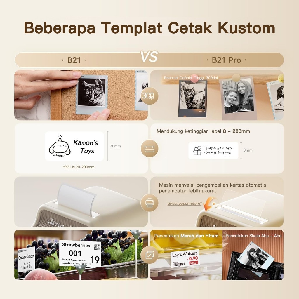 Wuhan Jingchen Intelligent Identification Technology NIIMBOT™ Printer Foto B21 Pro