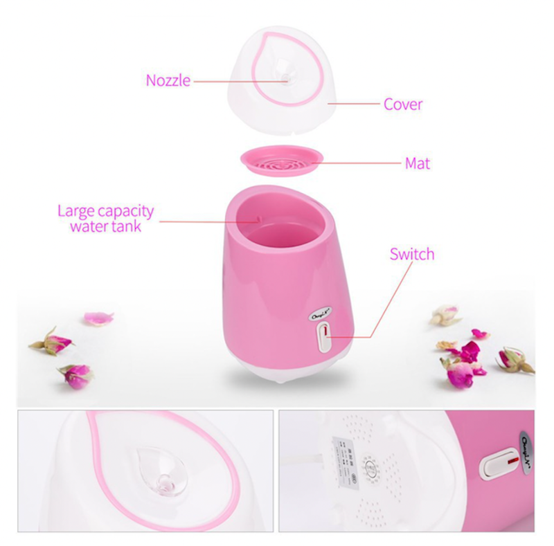 Face Steamer 4