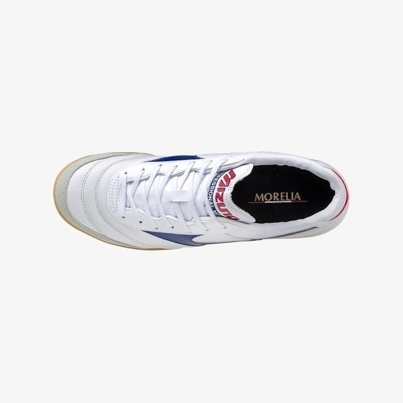 Morelia Indoor 4