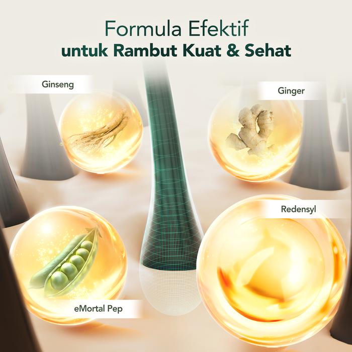 Ayara Beauty Indonesia Lab On Hair Anti Hair Fall Shampoo