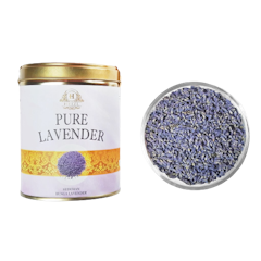 Pure Lavender