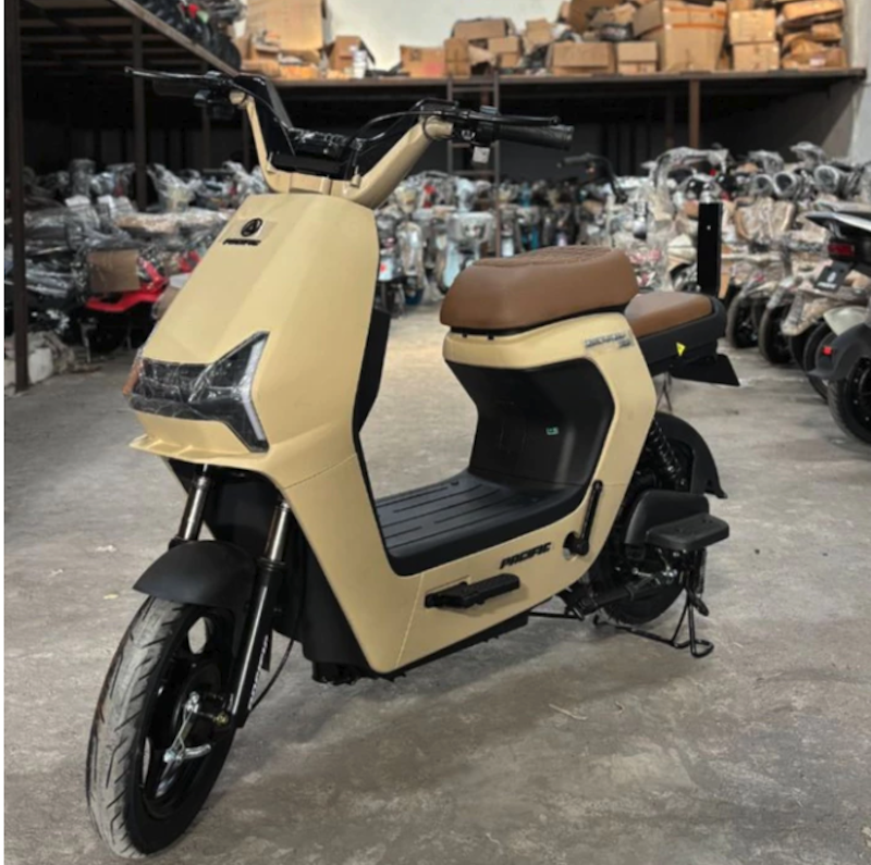 Pacific Zeckrom 300 Electric Motor Pedal 5