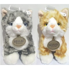 Cat Mio Sisir