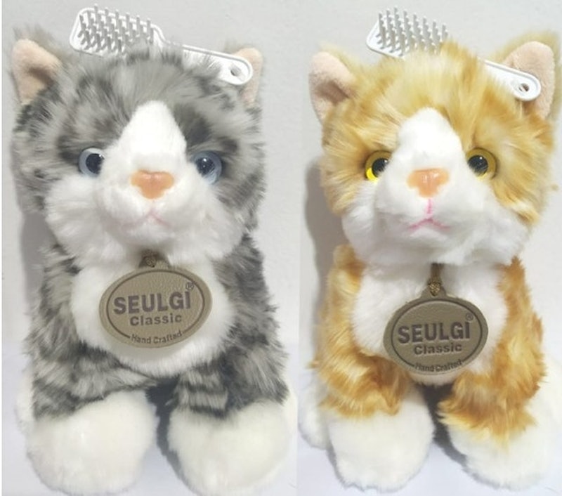 Cat Mio Sisir 1