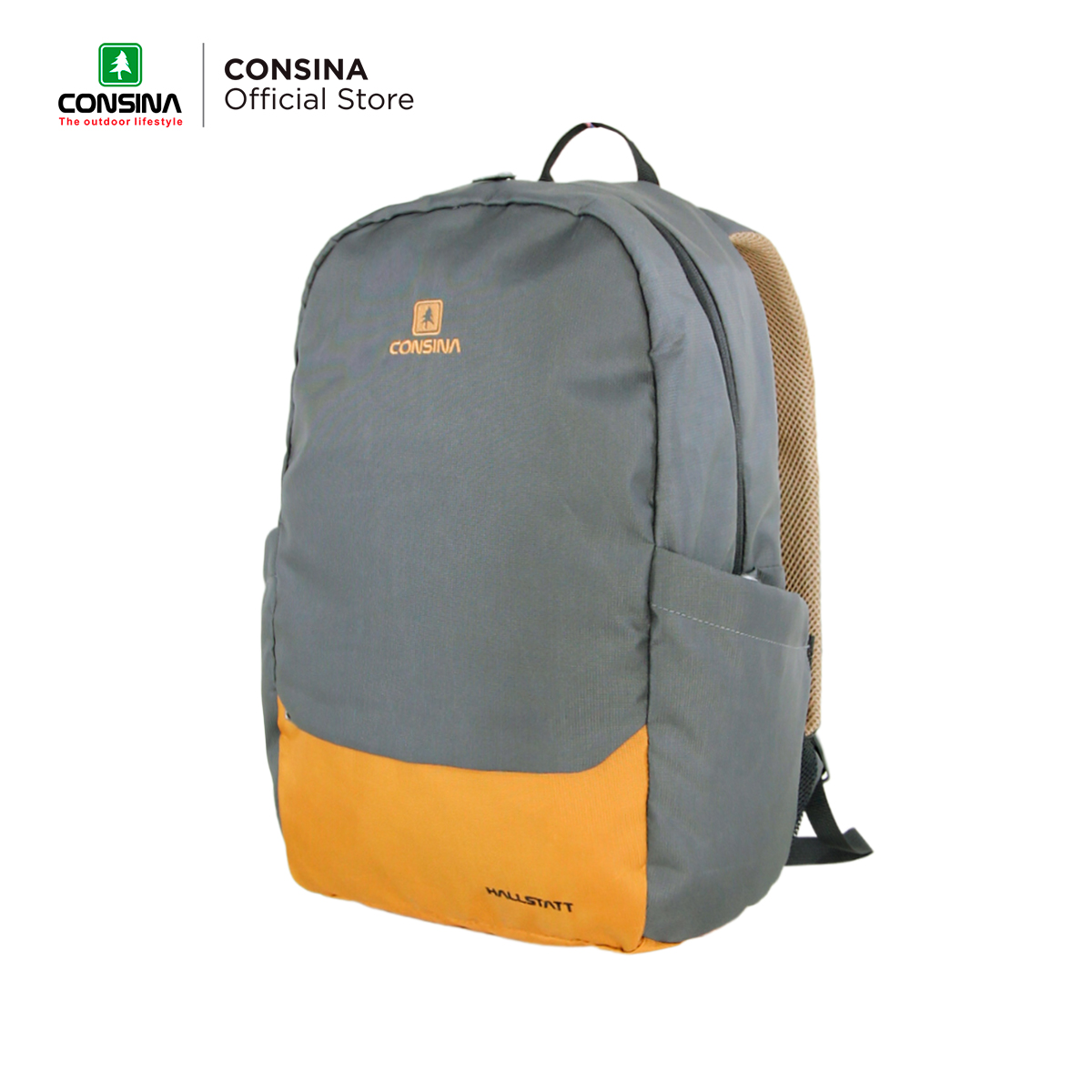 CONSINA HALLSTATT 3