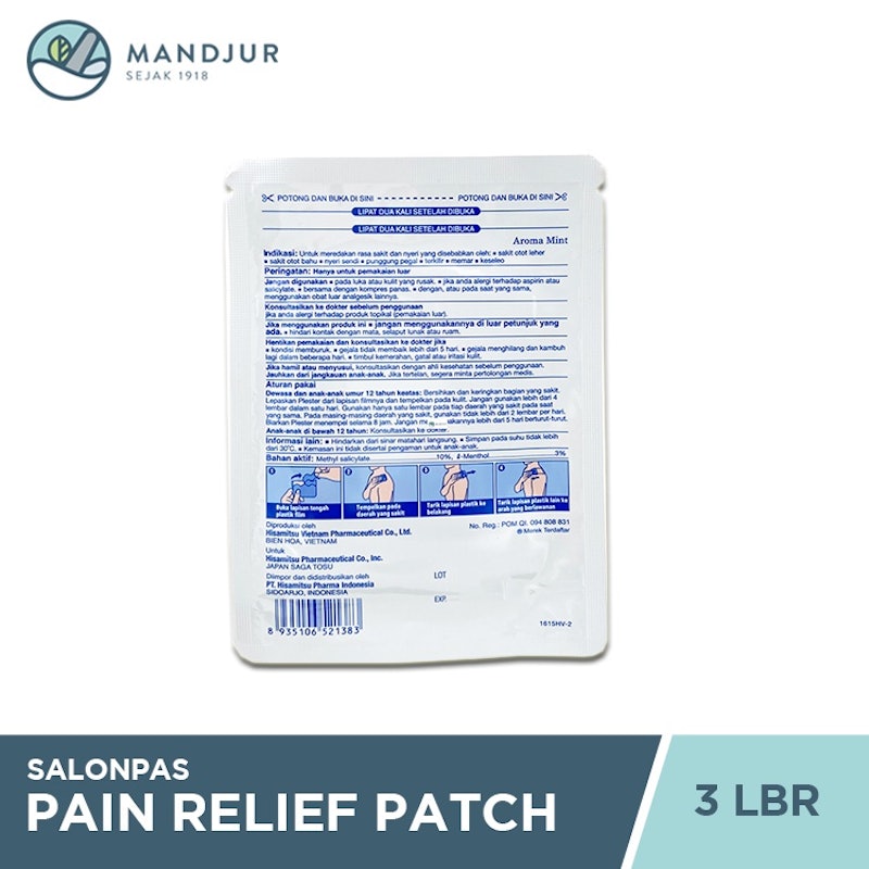 Salonpas Pain Relief Patch 2