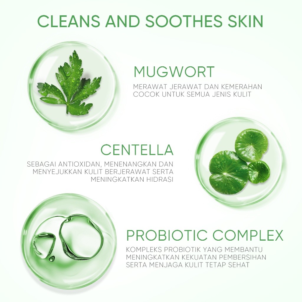 SKINTIFIC Cosmetics SKINTIFIC Mugwort Purifying Micellar Water
