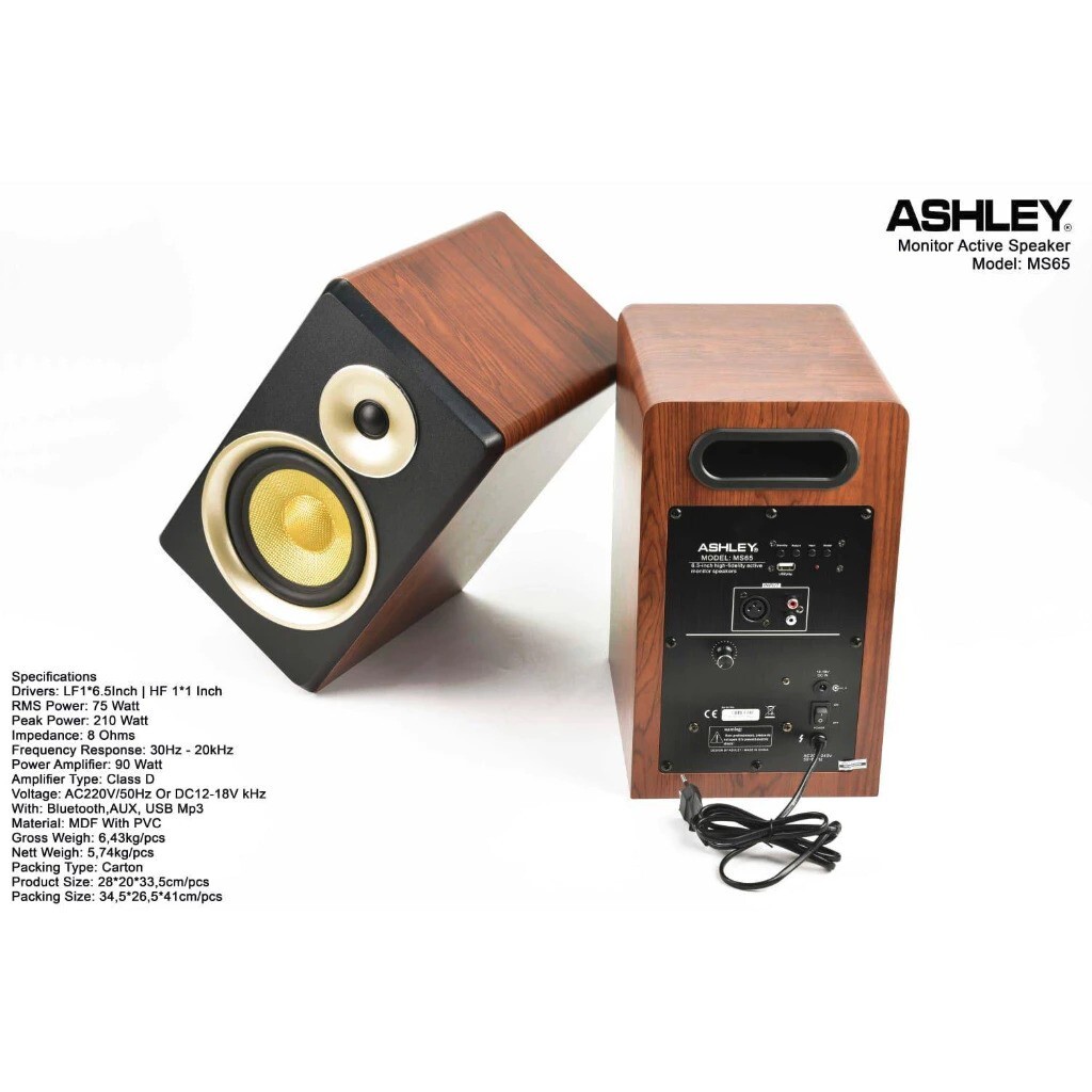 Ashley Professional Audio Ashley Monitor Active Speaker MS65