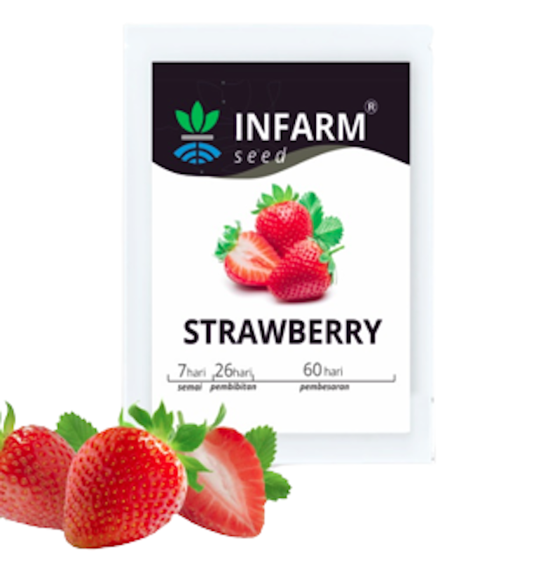 Strawberry Red Giant 1