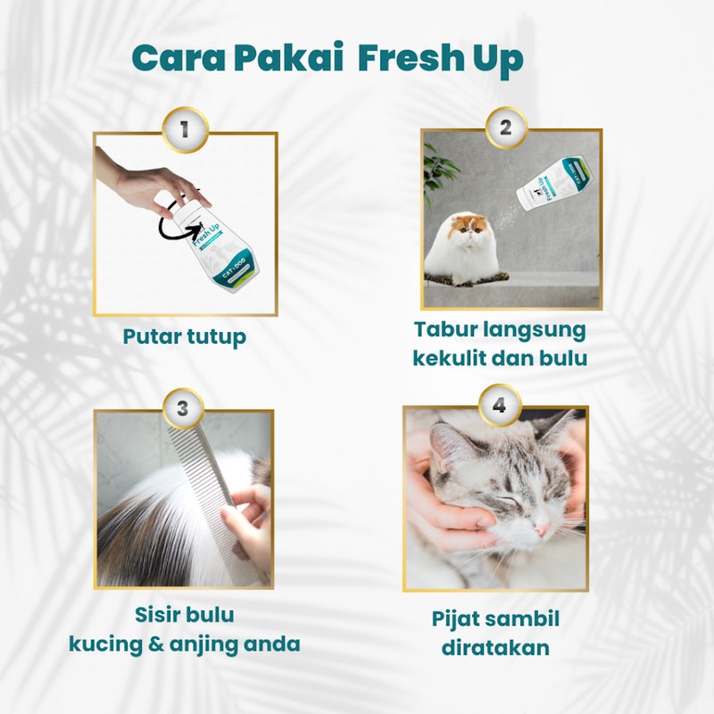 Dewarangga Fresh Up Dry Shampoo Powder 4