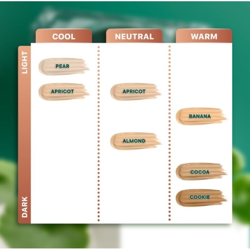 Centella Asiatica Power Powder Cocoa 4