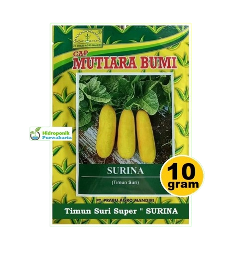 Mutiara Bumi Benih Timun Suri SURINA 1