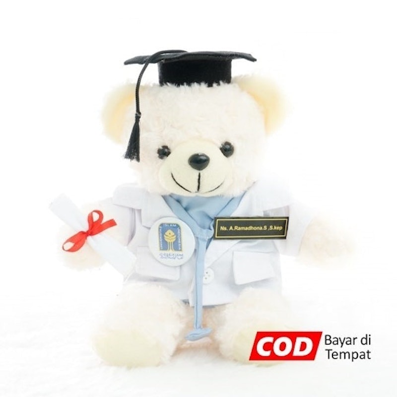 Boneka Profesi Wisuda Dokter Bear Cream 2