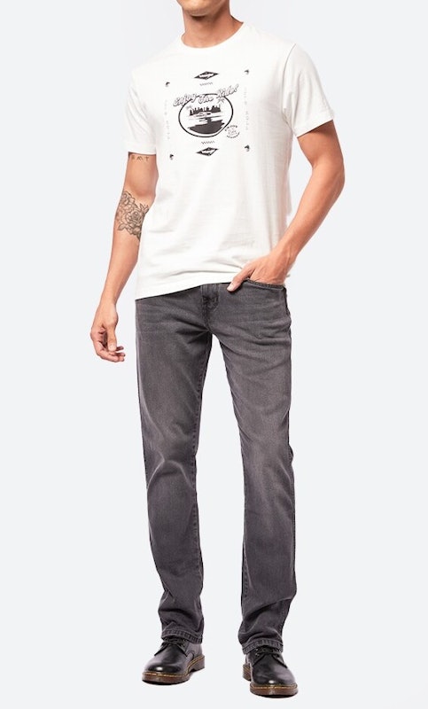 Wrangler Long Pants Regular Light Grey 4