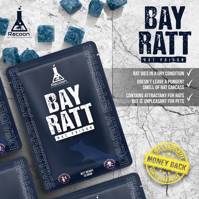 Racoon Bayratt Rat Poison 4