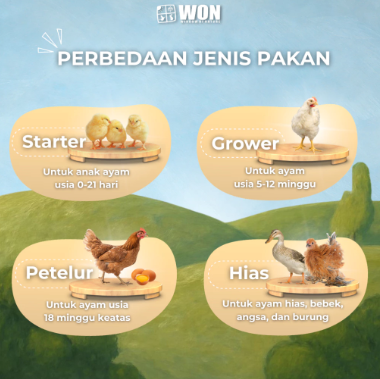 WON Super Chicken Feed Petelur 3