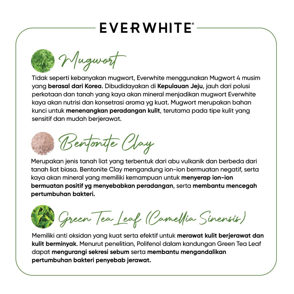 Everwhite Mugwort Pore Clay Mask