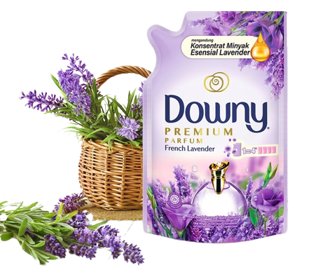 Downy French Lavender