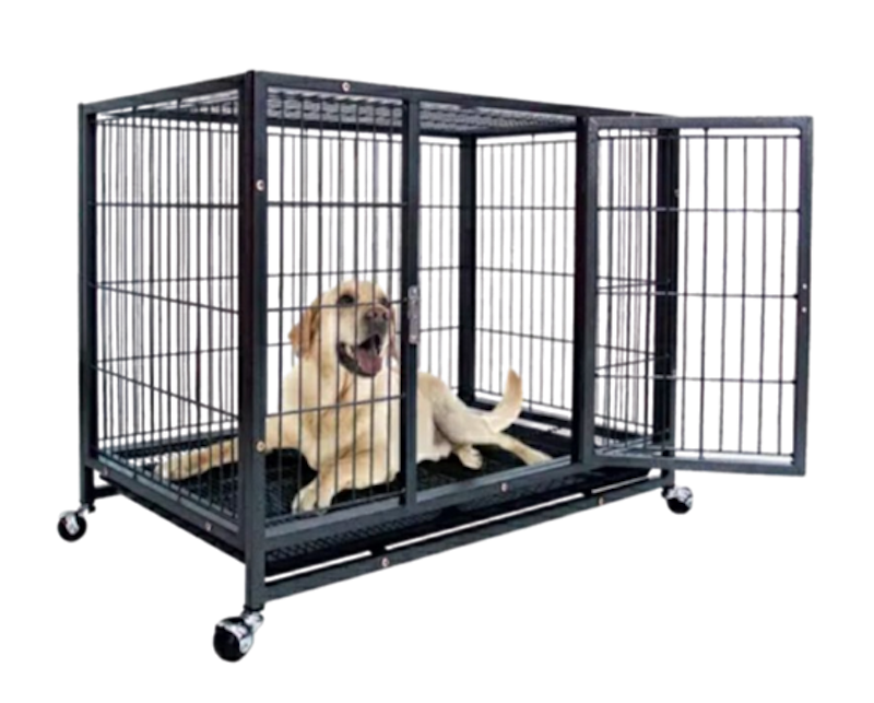 Kandang Anjing Premium Besar XXL 1
