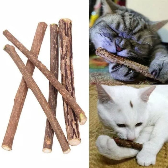 Catnip Stick