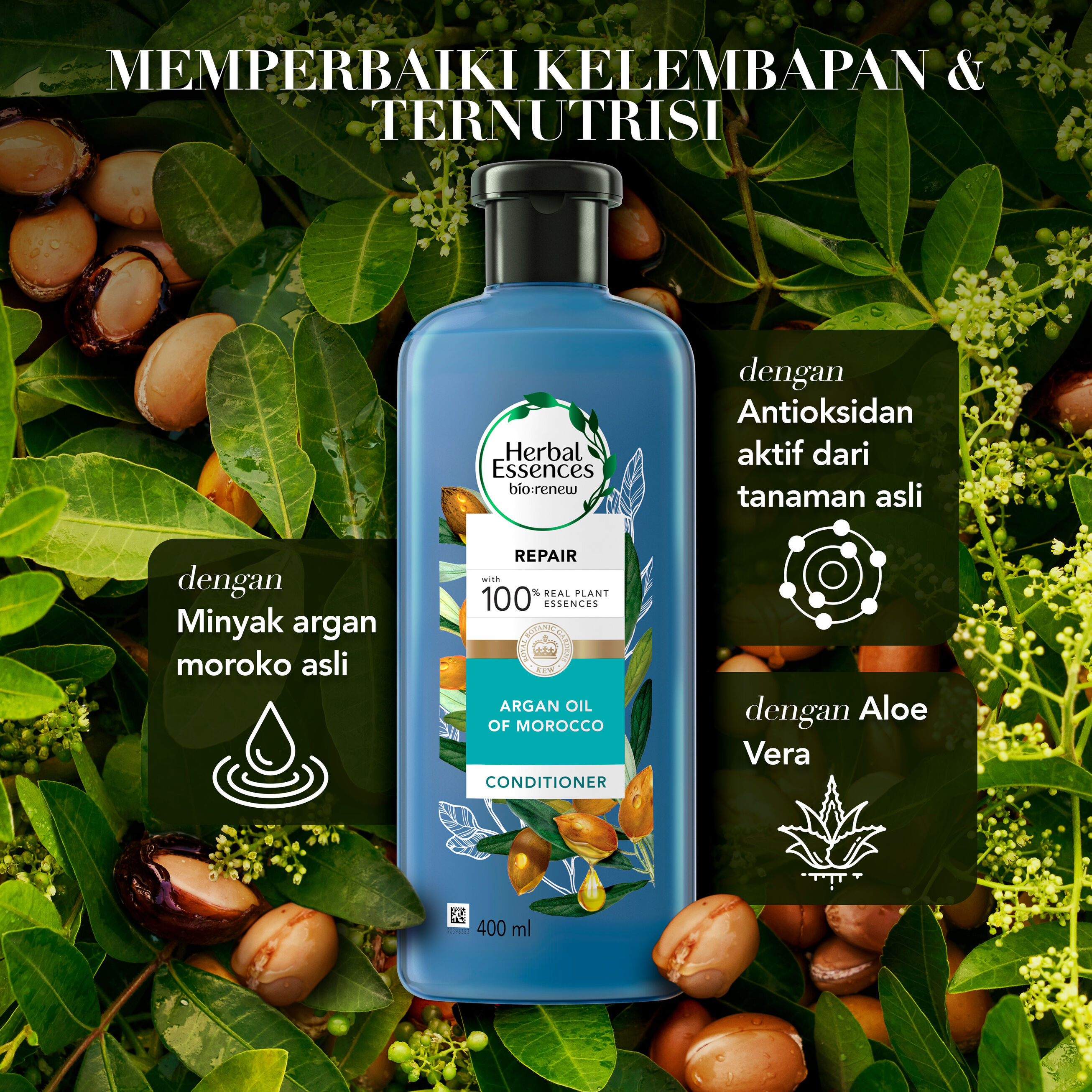 Procter & Gamble Herbal Essences Bio:Renew Repair Argan Oil of Morocco Conditioner