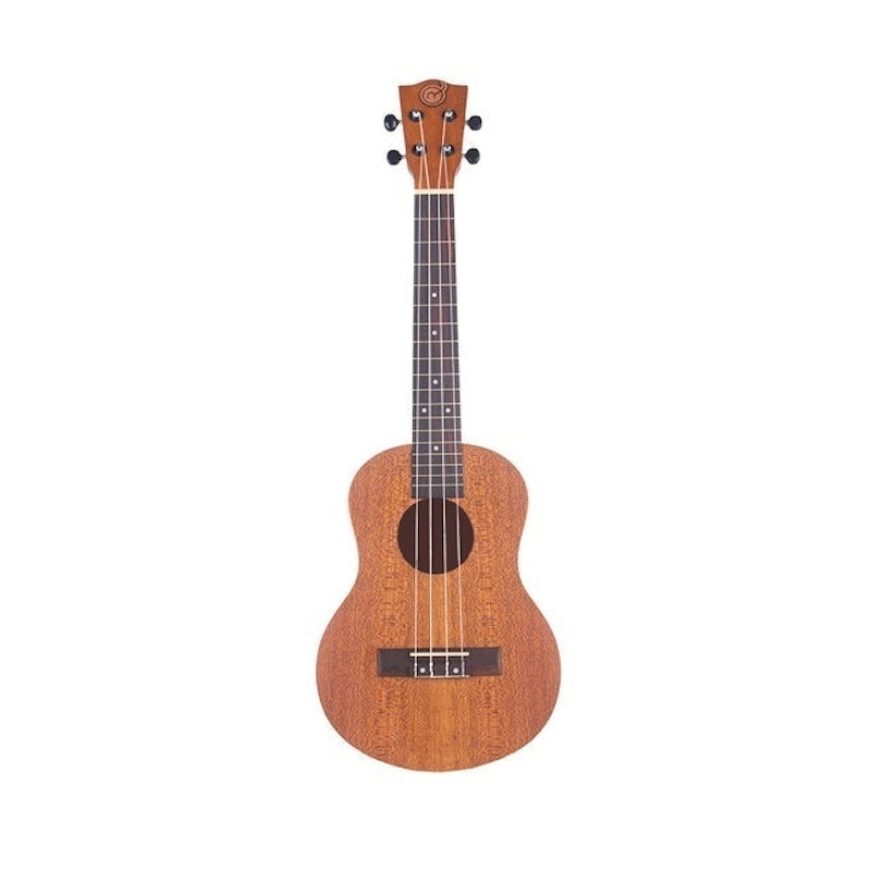 Ukulele Brown 1
