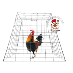 Kurungan Ayam Trapesium
