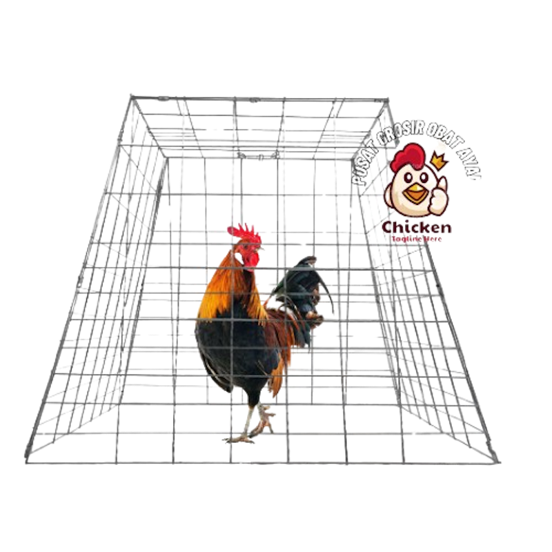Kurungan Ayam Trapesium