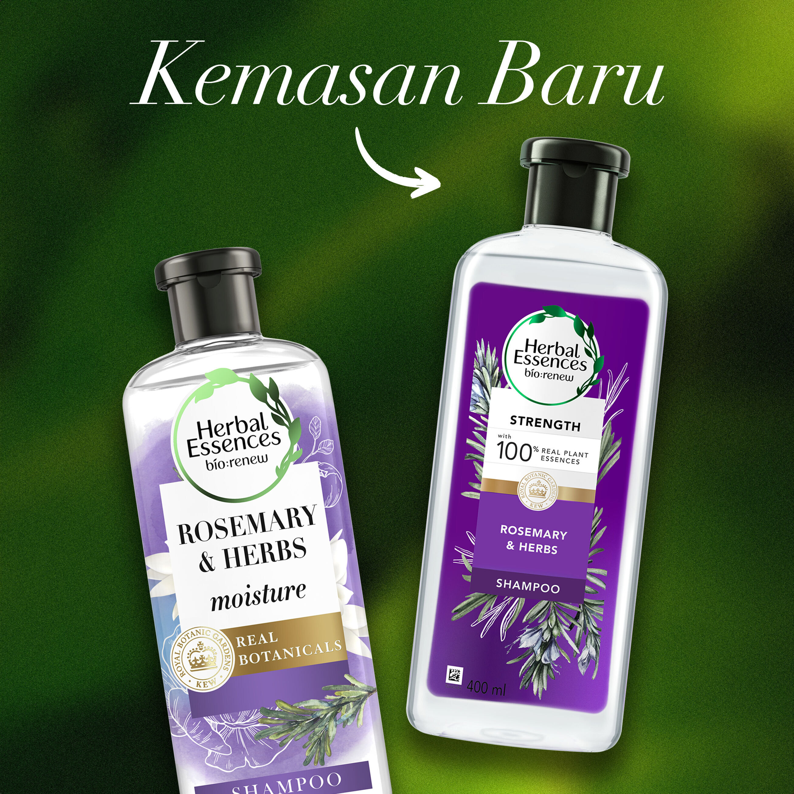 Procter & Gamble Herbal Essences Bio:Renew Rosemary & Herbs Moisture Shampoo