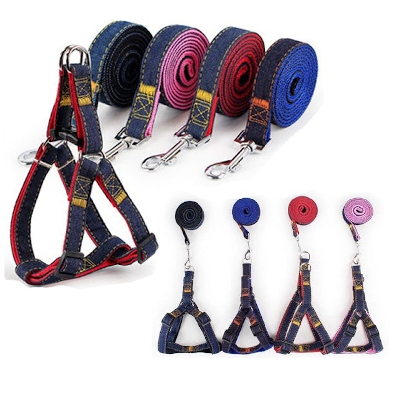 Dog Harness 3