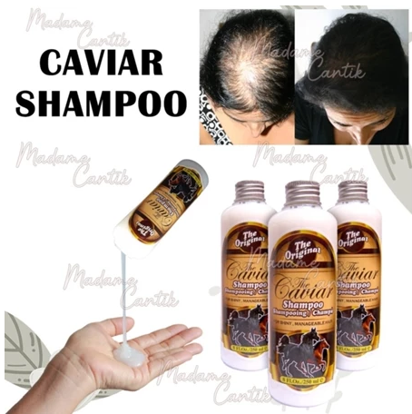 Motto Beringin Abadi The Caviar Shampoo