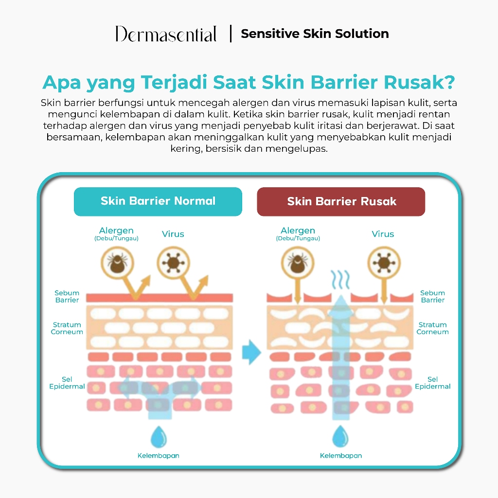  Dermasential-Salmon DNA Intensive Nourishing Serum