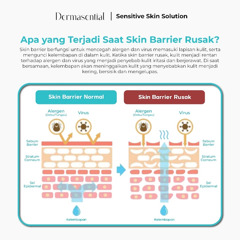 Dermasential-Salmon DNA Intensive Nourishing Serum 5