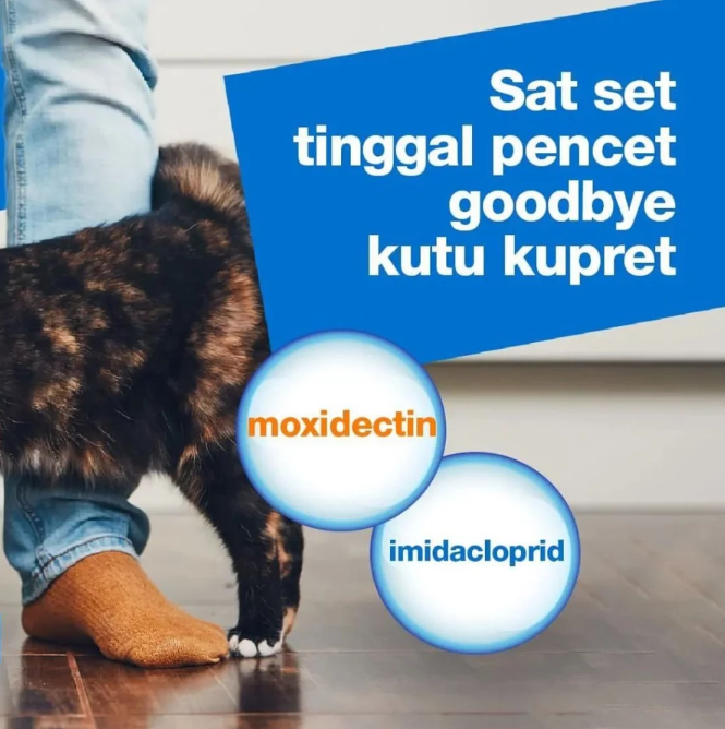 Bayer Advocate for Large Cat 4-8 kg