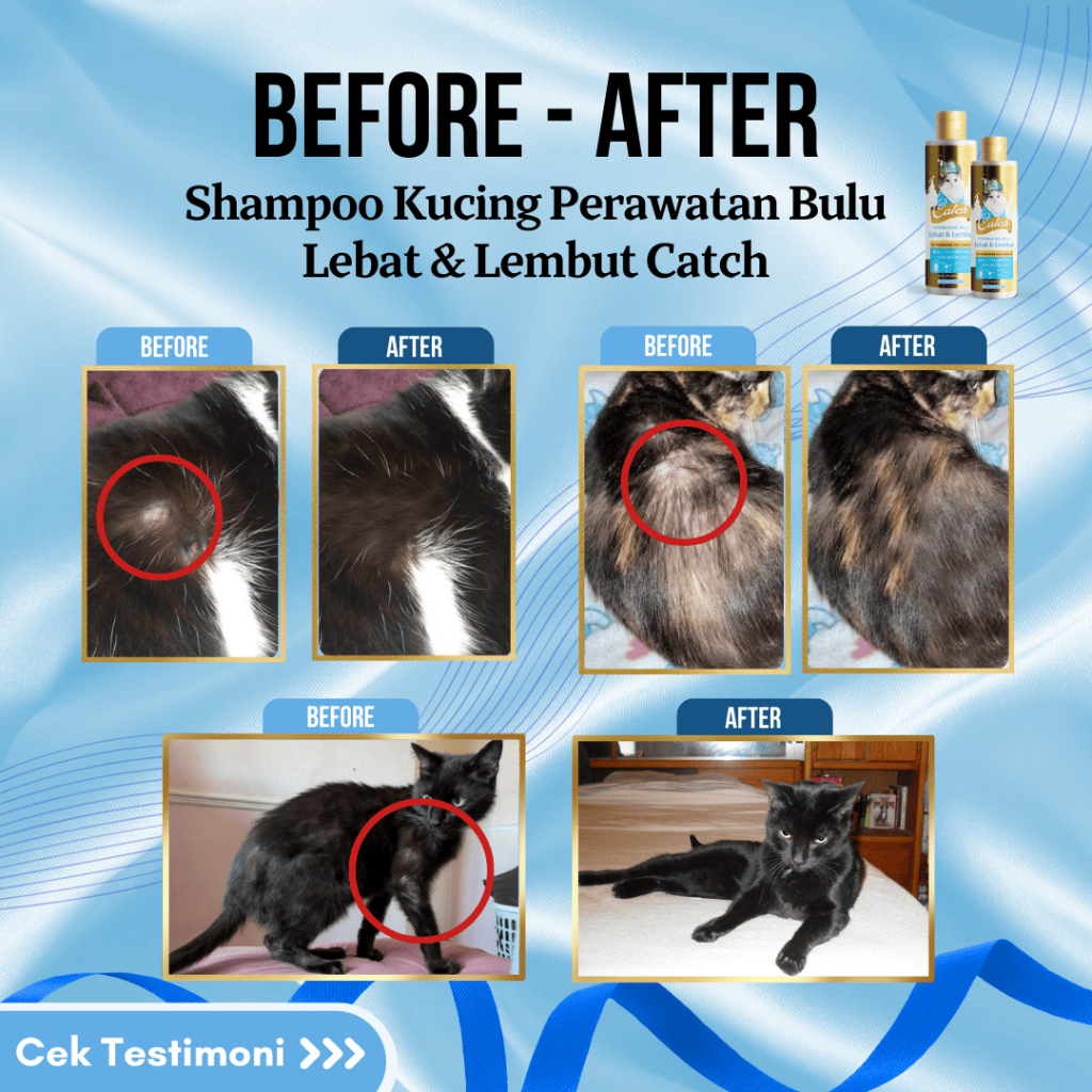  Catch Perawatan Bulu Lebat & Lembut