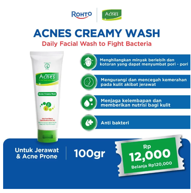 Rohto Laboratories Indonesia  Acnes Creamy Wash