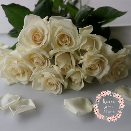  Bunga Mawar Potong Asli