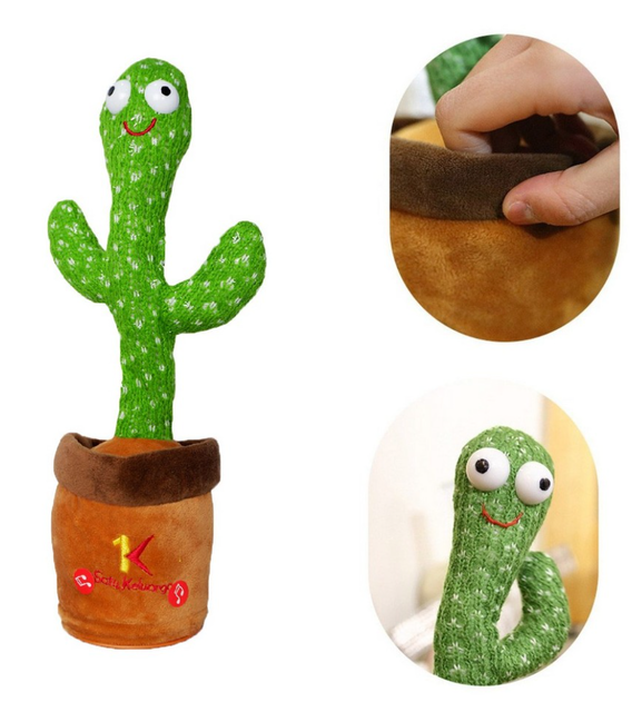 Satu Keluarga Kaktus Menari  M179