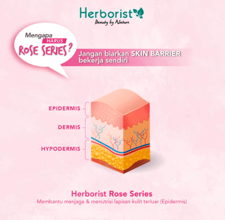 Victoria Care Indonesia Herborist Rose Cleansing Milk 