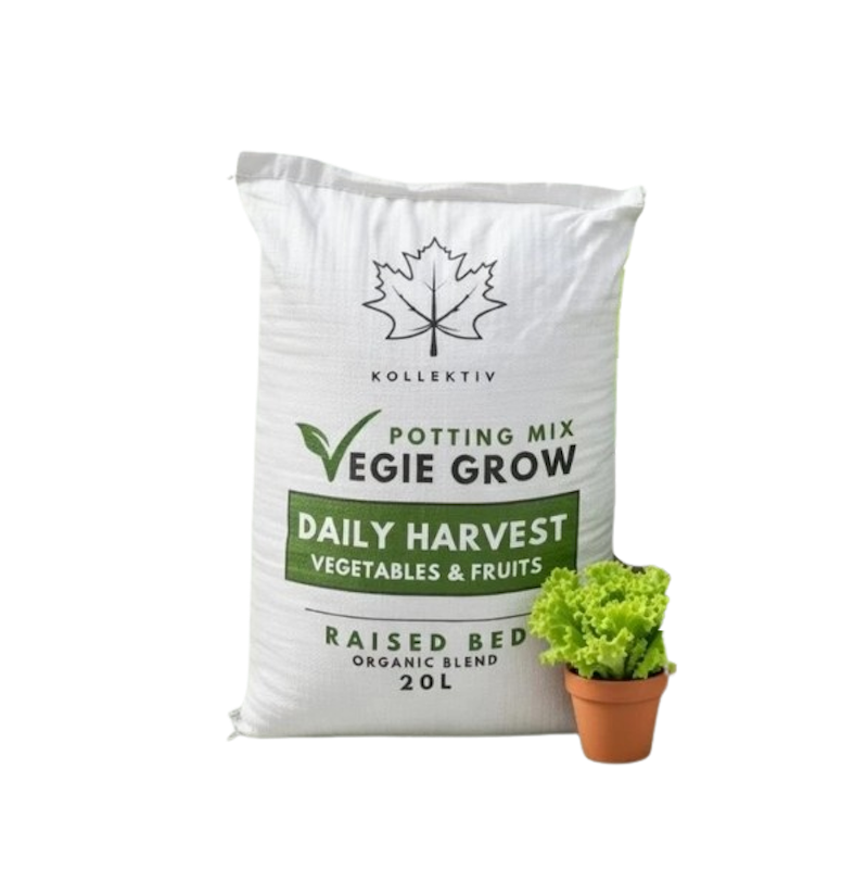 Kollektiv Media Tanam Vegie Grow 1