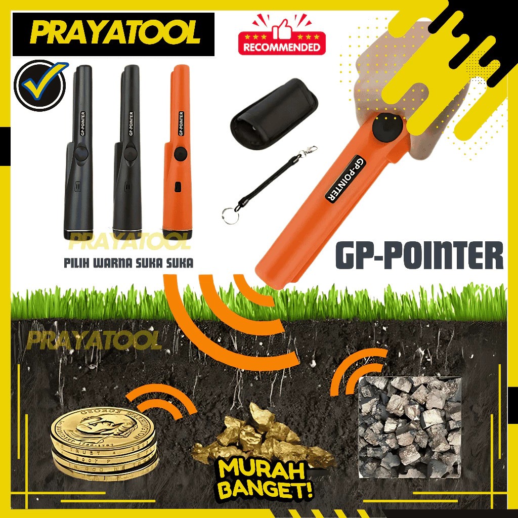 GP Pointer  5