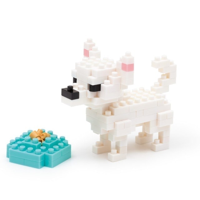 Chihuahua 1