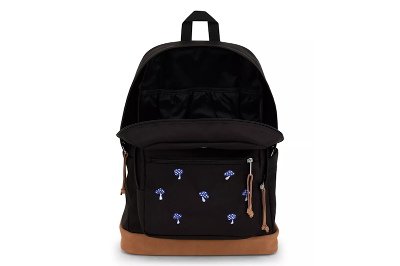 JanSport Right Pack 1