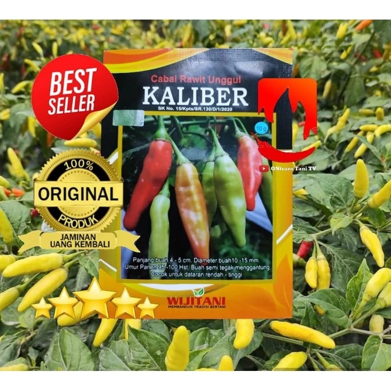 Jogja Horti Lestari Wijitani Benih Cabe Rawit Kaliber