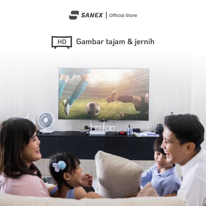 SANEX Antena TV Digital Outdoor 3