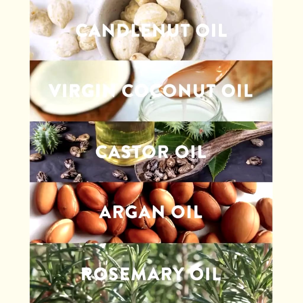 Zenindo Natural Eucalie Organics Power 10+ Organic Hair Growth Oil & Scalp Treatment