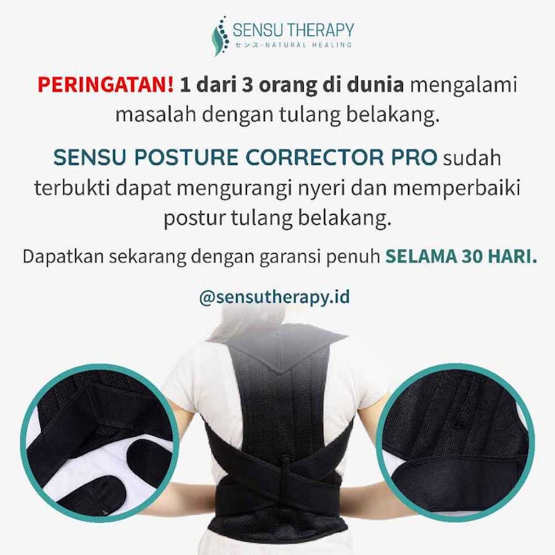 Sensu Postur Pro 2